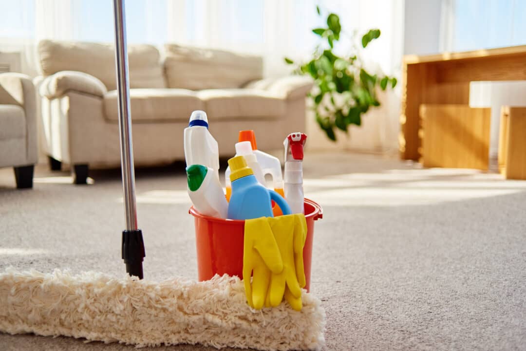 Cleaning Services